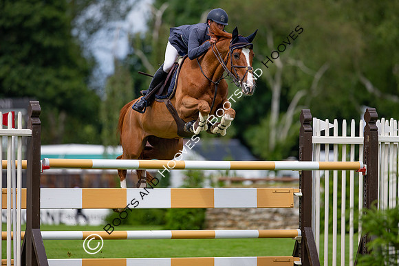 Showjumping