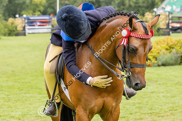 The Agria Royal International Horse Show