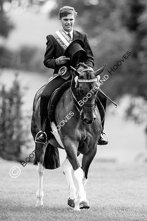 The Royal International Horse Show