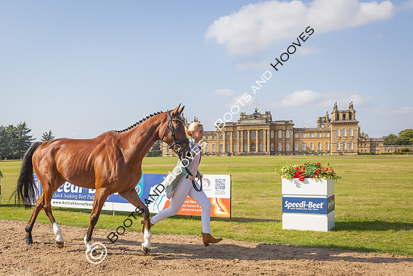 Blenheim Palace International Horse Trials