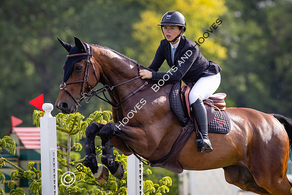 The Al Shira'aa Hickstead Derby Meeting