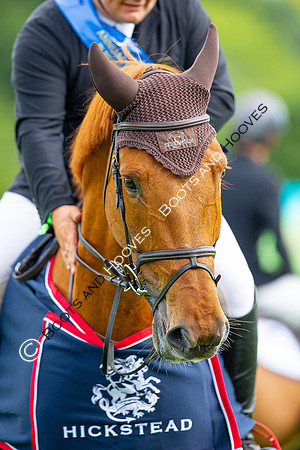 Showjumping