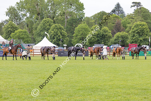 Royal Windsor Horse Show