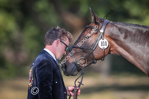Blenheim Palace International Horse Trials