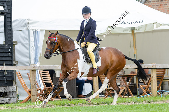 The Royal International Horse Show