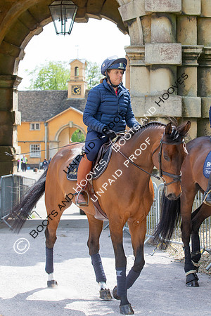 Badminton Horse Trials