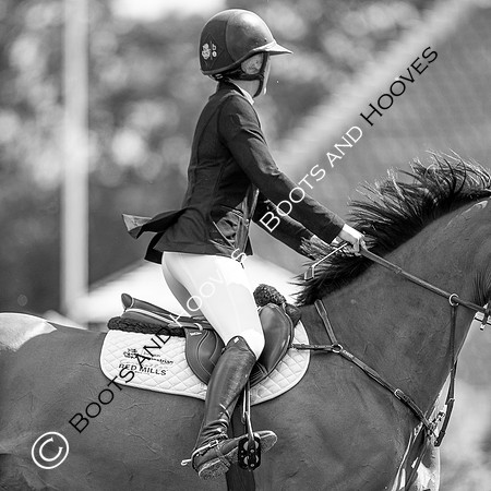 Showjumping