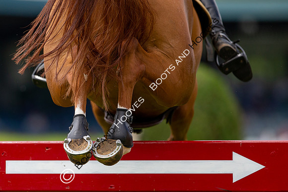 Showjumping
