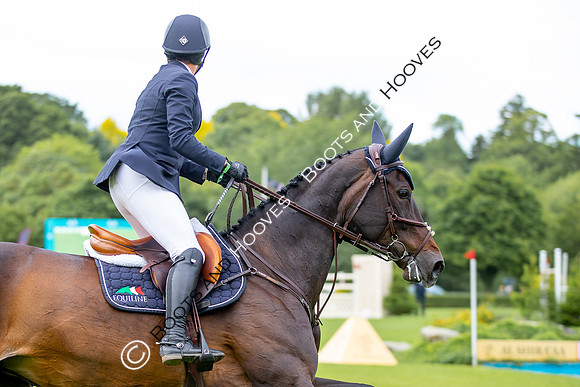 Showjumping