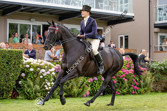 The Agria Royal International Horse Show