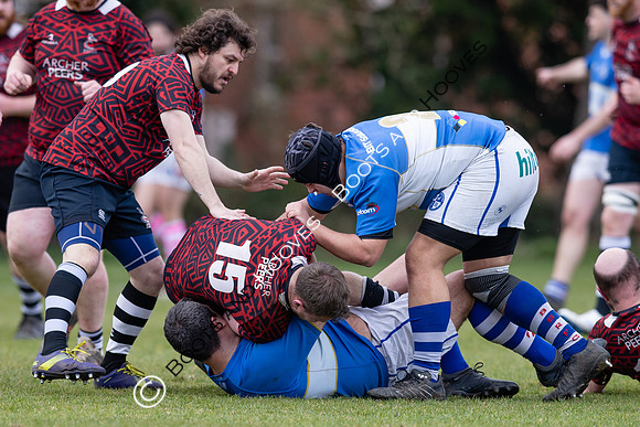 BSRFC v Royston