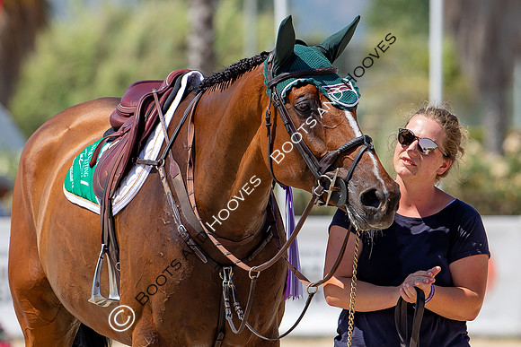 FEI Junior European Championship Young Riders, Juniors & Childre