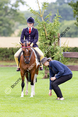 The Royal International Horse Show
