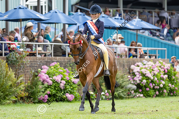 The Agria Royal International Horse Show