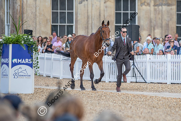 Badminton Horse Trials