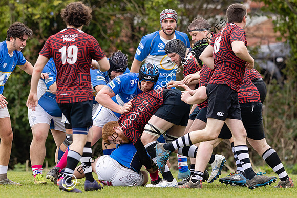 BSRFC v Royston