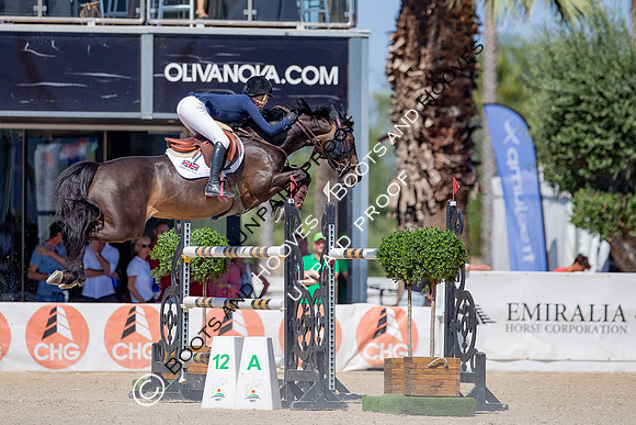 FEI Junior European Championship Young Riders, Juniors & Childre