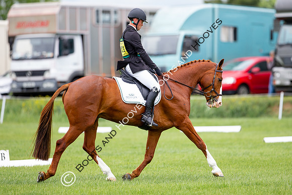 Horse Trials