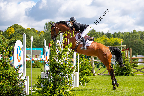 Showjumping