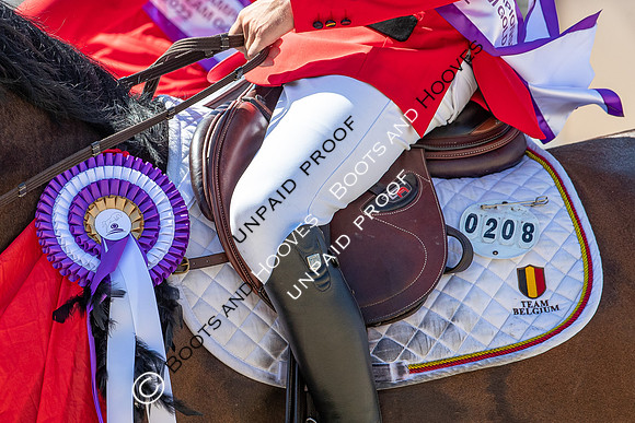 FEI Junior European Championship Young Riders, Juniors & Childre