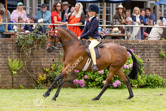 The Agria Royal International Horse Show