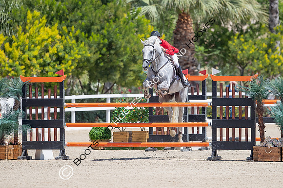 FEI Junior European Championship Young Riders, Juniors & Childre