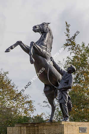 Newmarket