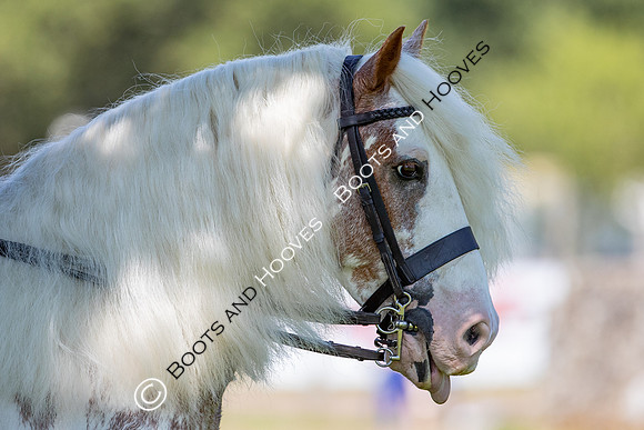 The Prenetics Royal International Horse Show