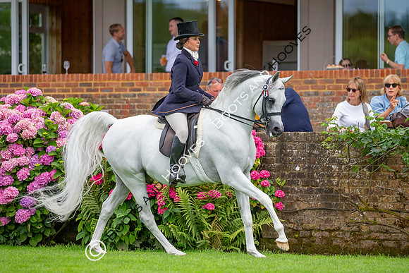 The AGRIA Royal International Horse Show