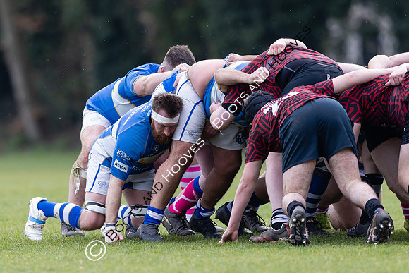 BSRFC v Royston