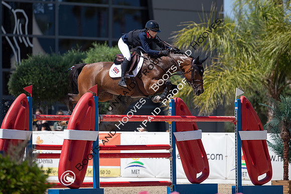 FEI Junior European Championship Young Riders, Juniors & Childre