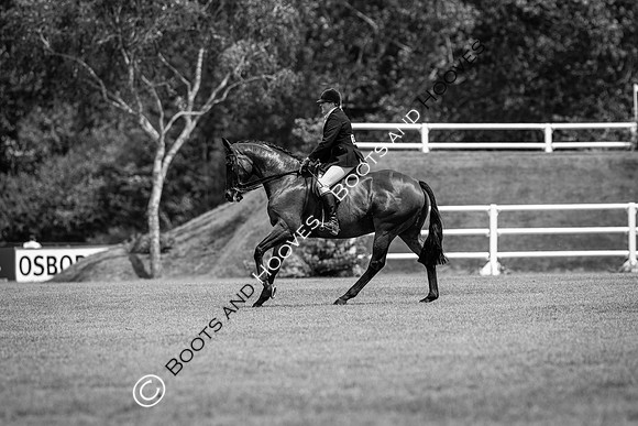 The Al Shira'aa Hickstead Derby Meeting
