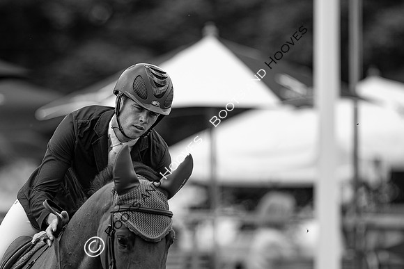 Showjumping