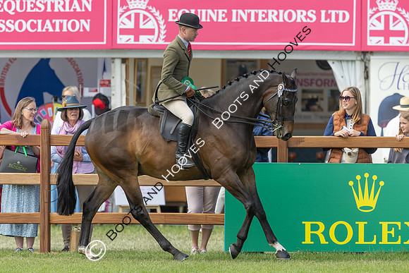 Royal Windsor Horse Show