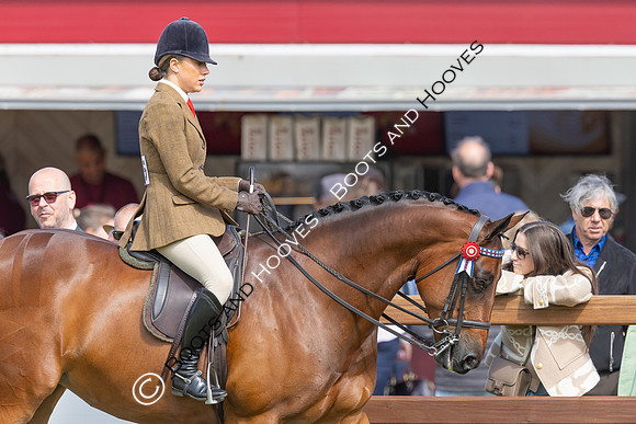 Royal Windsor Horse Show