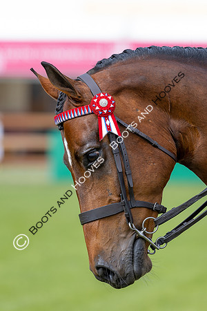 Royal Windsor Horse Show