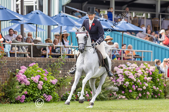The Agria Royal International Horse Show
