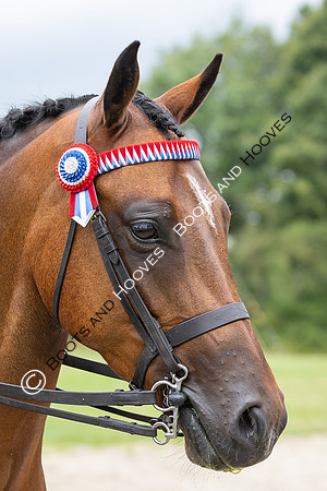 The Royal International Horse Show