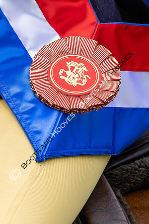 The Agria Royal International Horse Show