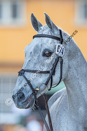 Badminton Horse Trials