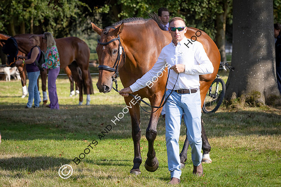 Blenheim Palace International Horse Trials