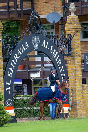 Showjumping