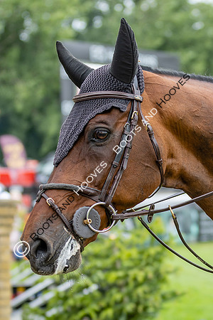 The Al Shira'aa Hickstead Derby Meeting