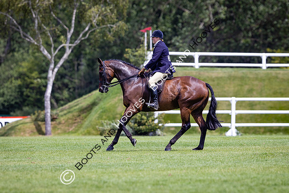 The Al Shira'aa Hickstead Derby Meeting