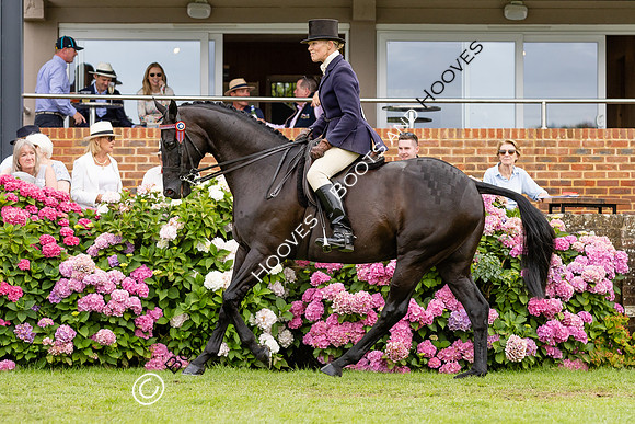 The Agria Royal International Horse Show