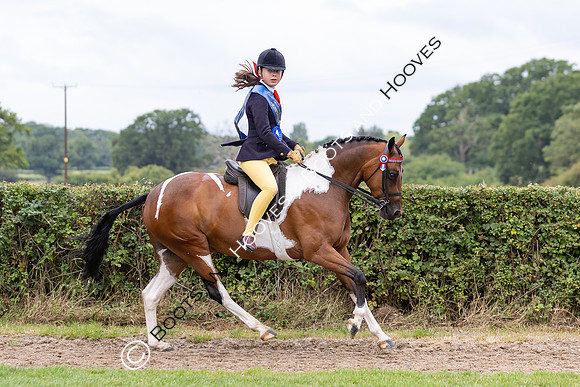 The Royal International Horse Show