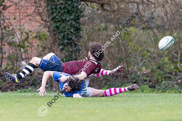 BSRFC v Royston