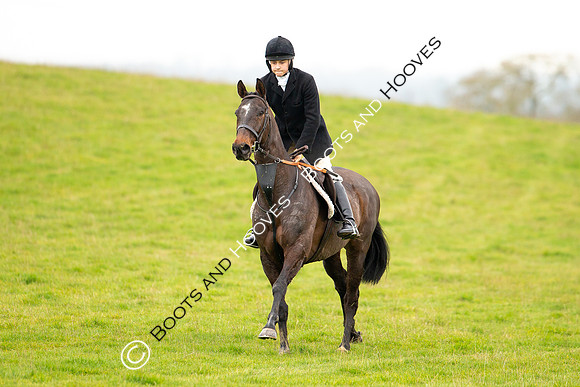 The Ledbury Hunt