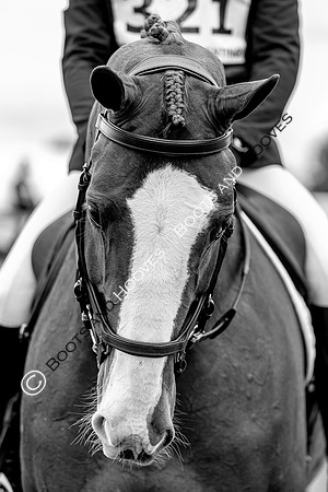 Horse Trials