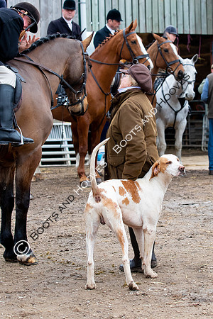 The Ledbury Hunt